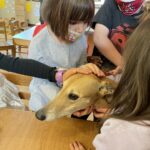Cascade, a fawn-colored greyhound dog, is petted by children.