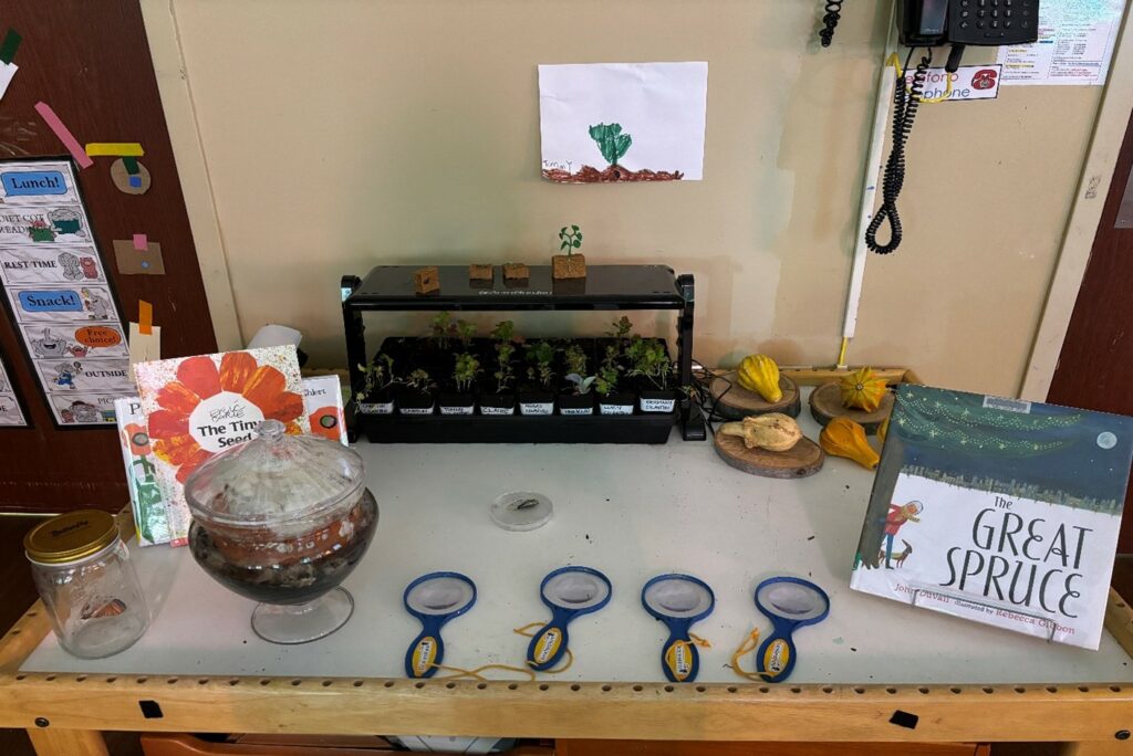On a table are displayed a rectangular terrarium with seedlings growing inside, several gourds on wooden trivets, a circular terrarium with moisture condensation on the glass lid, four handheld seed dispensers and a couple of books.