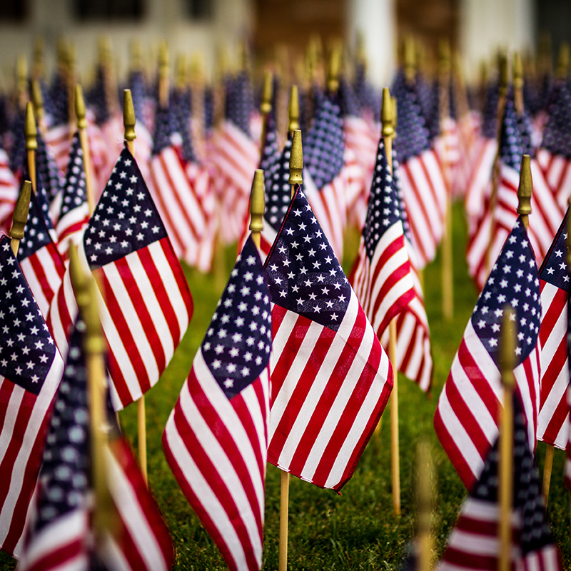 A group of small United States flags are planted in the tightly mown lawn of a cemetery.