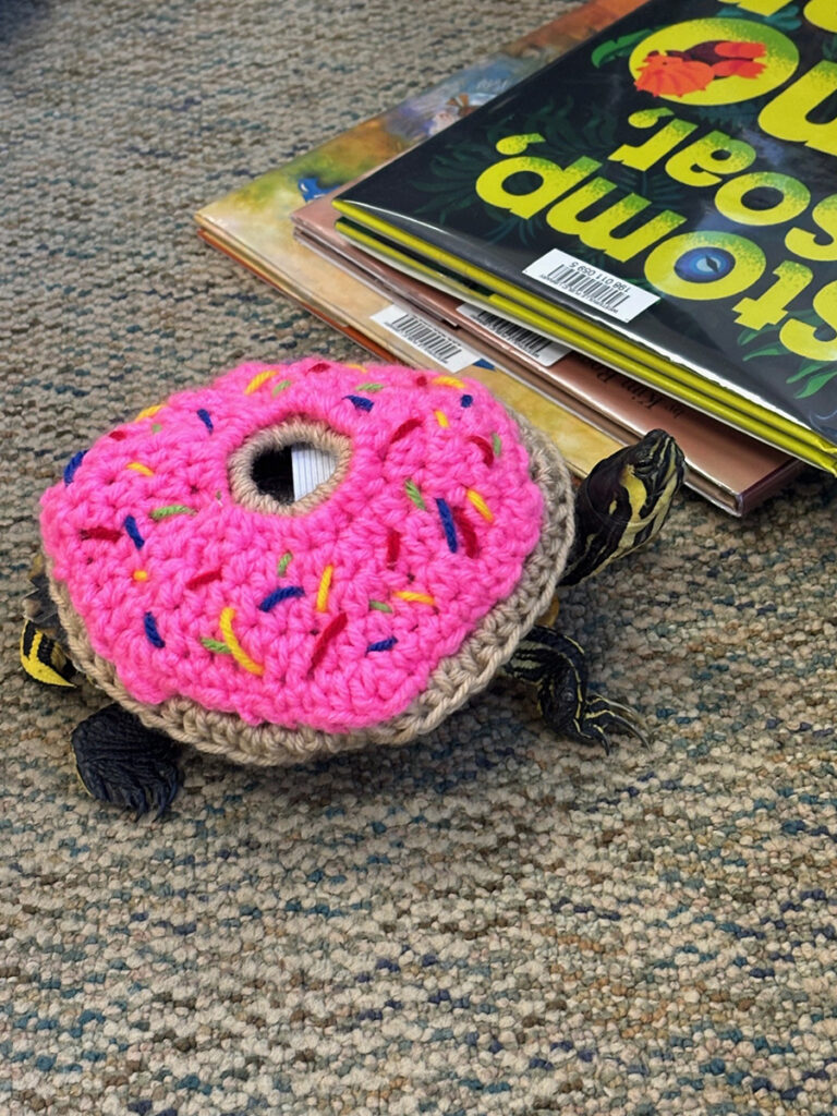 A turtle sits on a table wearing a crocheted pink ring in the shape of a donut